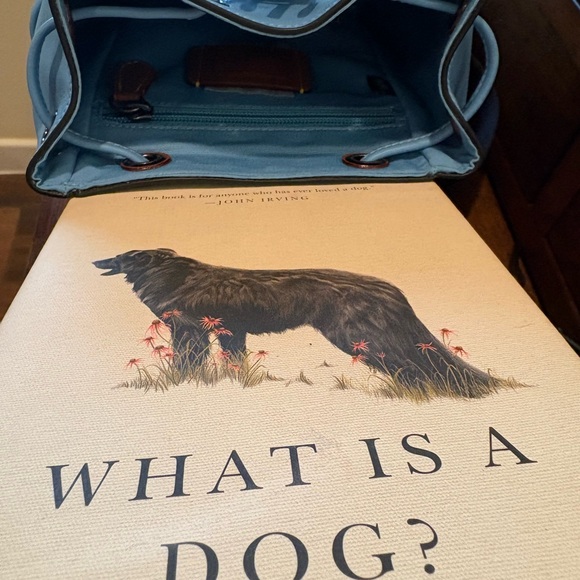 Coach Light Blue Backpack - Picture 8 of 11